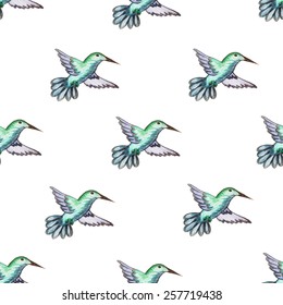 Seamless pattern of birds hummingbird