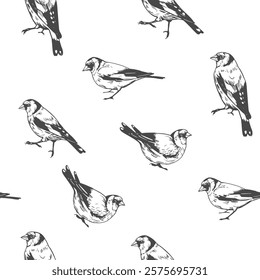 Seamless, pattern, birds illustrations, Goldfinch set of illustrations, vector hand drawn 