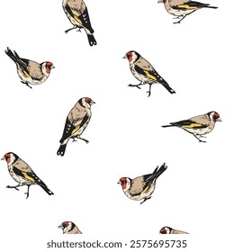 Seamless, pattern, birds illustrations, Goldfinch set of illustrations, vector hand drawn 