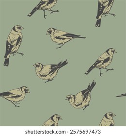 Seamless, pattern, birds illustrations, Goldfinch set of illustrations, vector hand drawn 