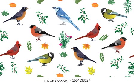 Seamless pattern with birds and leaves in colour image. Species of birds: american robin, blue jay, common bullfinch, great tit, northern cardinal.