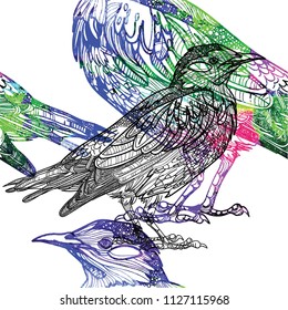 Seamless pattern with birds. Meditative coloring, patterns. Many details, antistress coloring. Mandala. Points, stripes. Vintage drawing by hand.