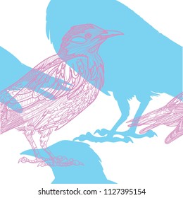 Seamless pattern with birds. Meditative coloring, patterns. Many details, antistress coloring. Mandala. Points, stripes. Vintage drawing by hand.