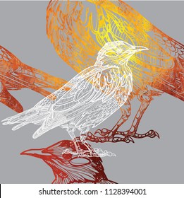 Seamless pattern with birds. Meditative coloring, patterns. Many details, antistress coloring. Mandala. Points, stripes. Vintage drawing by hand.