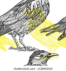 Seamless pattern with birds. Meditative coloring, patterns. Many details, antistress coloring. Mandala. Points, stripes. Vintage drawing by hand.