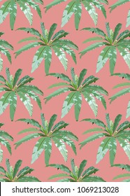 Seamless pattern of bird's nest fern, flat simple retro/vintage colorful vector