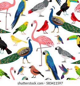 Seamless pattern with birds: parrot, canary, flamingo, cardinal bird, peacock, toucan, colibri, crossbill