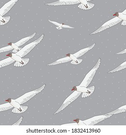 Patrón sin foco con gaviotas de pájaros sobre fondo gris.