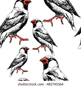 
Seamless pattern with birds . Stylish freehand drawing . Birds of different sizes.
