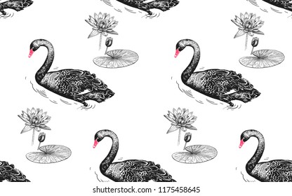 Seamless pattern with birds swans, flowers and leaves of water lily. Vector illustration art. Vintage engraving. Black and white. Template for design of paper, textiles, wallpaper.