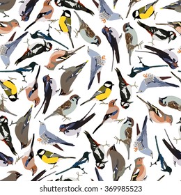 seamless pattern birds in vector format eps10