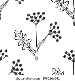 Seamless pattern with bitter herbs Angelica sinensis in sketch style. Female ginseng, or dong quai, elements and flowers, leaves and berries. Hand drawn doodle illustration.
