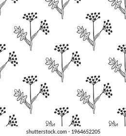 Seamless pattern with bitter herbs Angelica sinensis in sketch style. Female ginseng, or dong quai, elements and flowers, leaves and berries. Hand drawn doodle illustration.