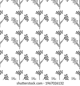 Seamless pattern with bitter herbs Angelica sinensis in sketch style. Female ginseng, or dong quai, elements and flowers, leaves and berries. Hand drawn doodle illustration.