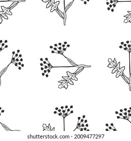 Seamless pattern with bitter herbs Angelica sinensis in sketch style. Female ginseng, or dong quai, elements and flowers, leaves and berries. Hand drawn doodle illustration.
