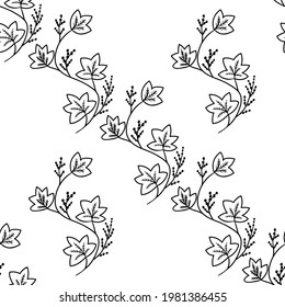 Seamless pattern with bitter herbs Calumba in sketch style. Jateorhiza palmata, elements and flowers, leaves and berries. Hand drawn doodle illustration.