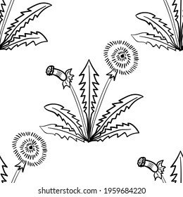 Seamless pattern with bitter herbs Common dandelion in sketch style. Taraxacum officinale, elements and flowers, leaves and berries. Hand drawn doodle illustration.