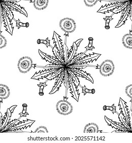 Seamless pattern with bitter herbs Common dandelion in sketch style. Taraxacum officinale, elements and flowers, leaves and berries. Hand drawn doodle illustration.