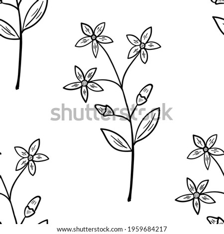 Seamless pattern with bitter herbs common centaury in sketch style. Centaurium erythraea or European centaury, elements and flowers, leaves and berries. Hand drawn doodle illustration.