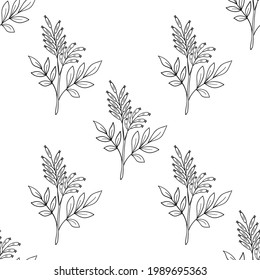 Seamless pattern with bitter herbs Quassia amara in sketch style. Bitter-wood, or amargo, bitter-ash, hombre grande, elements and flowers, leaves and berries. Hand drawn doodle illustration.