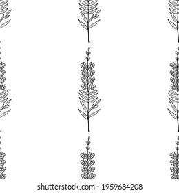 Seamless pattern with bitter herbs in sketch style. Snapdragon (Antirrhinum majus), elements and flowers, leaves and berries. Dragon flowers, hand drawn doodle illustration.