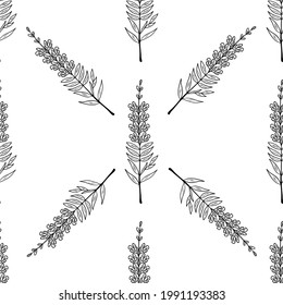 Seamless pattern with bitter herbs in sketch style. Snapdragon (Antirrhinum majus), elements and flowers, leaves and berries. Dragon flowers, hand drawn doodle illustration.