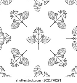 Seamless pattern with bitter herbs in sketch style. Quinine bark tree (cinchona officinalis), elements and flowers, leaves and berries. Quina, hand drawn doodle illustration.