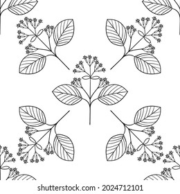 Seamless pattern with bitter herbs in sketch style. Quinine bark tree (cinchona officinalis), elements and flowers, leaves and berries. Quina, hand drawn doodle illustration.