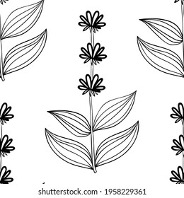 Seamless pattern with bitter herbs Yellow gentian in sketch style. Gentiana lutea, elements and flowers, leaves and berries. Hand drawn doodle illustration.