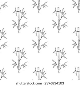 Seamless pattern with Black Bamboo (Phyllostachys nigra punctata), ornamental and medicinal plant. Vector illustration