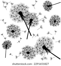 Seamless pattern of black dandelions silhouettes and fluffs on white background. Vector black and white summer floral background for wallpaper, poster, web and packaging
