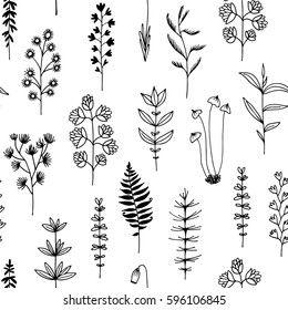 Seamless pattern with black doodle flowers and herbs, vector illustration on white background