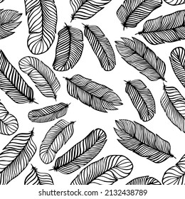 seamless pattern of black feathers on white background