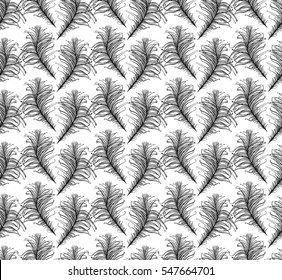 Seamless pattern black feathers. Vector template.