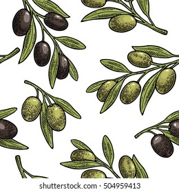 Aceitunas negras y verdes sin inconvenientes en ramas con hojas. Elemento de diseño dibujado a mano. Ilustración vectorial de color vintage para logotipo, afiche, web. Aislado sobre fondo blanco.