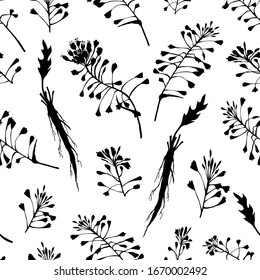 Patrón inexpresivo con silueta dibujada a mano negra de Pastores Púrpura, vidas y flores aisladas en fondo blanco. Diseño gráfico retro. Dibujo botánico, ilustración vectorial.