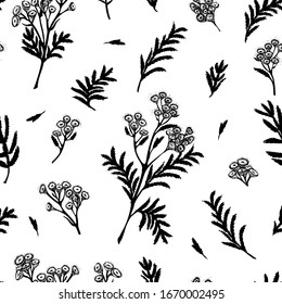 Seamless pattern with black hand drawn silhouette of tansy, lives and flowers isolated on white background. Retro vintage graphic design. Botanical sketch drawing, Vector illustration.