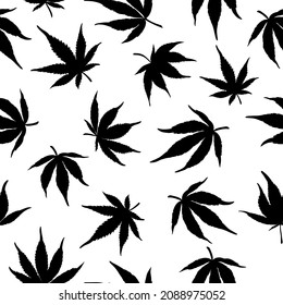 Patrón sin foco de cáñamo negro sobre fondo blanco. Patrón de marihuana. Ilustración vectorial. 