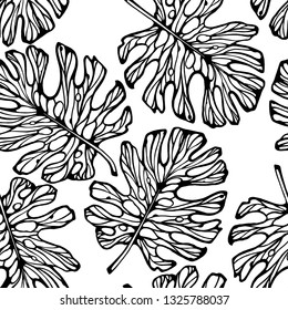 Seamless pattern of black leaves of Monstera on a white background. Botanical background.