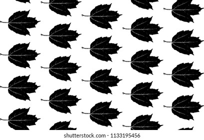 Seamless pattern black leaves silhouettes isolated on white background. Can be used for fabrics, wallpapers. Vector