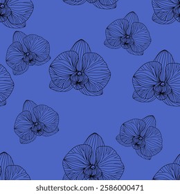 Seamless pattern of black line drawn orchid flowers on a blue   background.  For wallpaper, botany pattern, packaging design