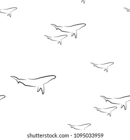 Seamless pattern with black line whales on white background. Marine simple texture. Vector illustration. Ocean ornament.