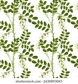 seamless pattern with black locust, false acacia, vector drawing tree branch with flowers and green leaves at white background, Robinia pseudoacacia, hand drawn illustration