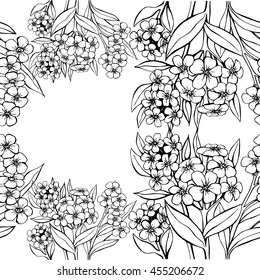Seamless pattern black on white forget-me.