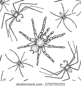 Padrão sem costura com preto esboço aracnídeo mão desenhada. Aranha gravada arte em fundo repetido. Inseto estilo esboço gráfico para o Halloween têxtil, papel de parede. As aranhas assustadoras Tarântula imprimem.