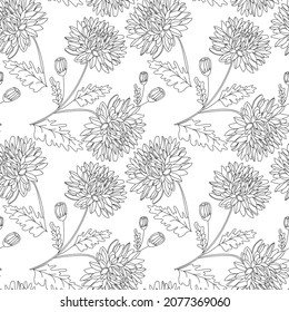 Seamless pattern with black outlined chrysanthemum flowers, buds, and leaves on white isolated background.