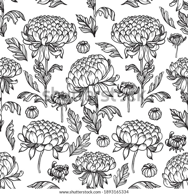 Seamless pattern with black outlined\
chrysanthemum flowers, buds, and leaves on white isolated\
background. Beautiful vector\
texture