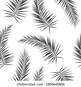 Seamless pattern with black palm branches on a white background, tropical ornament