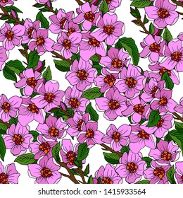 Seamless pattern in black pink flowers with sakura branches