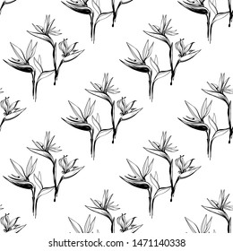 Seamless pattern with black strelitzia flowers and leaves. Hand drawn line on white background.